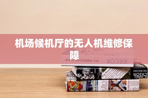 机场候机厅的无人机维修保障