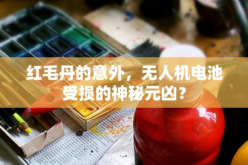 红毛丹的意外，无人机电池受损的神秘元凶？