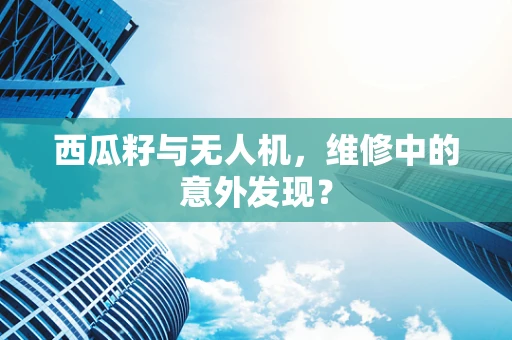 西瓜籽与无人机，维修中的意外发现？