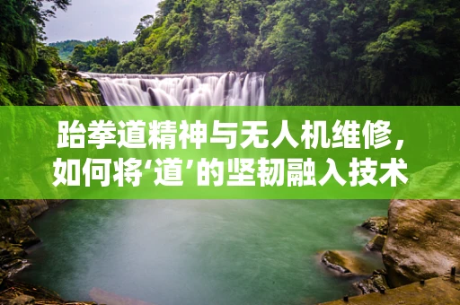 跆拳道精神与无人机维修，如何将‘道’的坚韧融入技术修复？