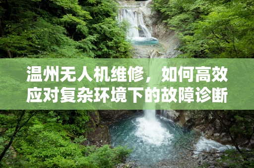 温州无人机维修，如何高效应对复杂环境下的故障诊断？