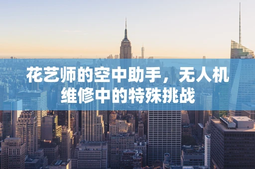 花艺师的空中助手，无人机维修中的特殊挑战