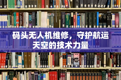 码头无人机维修，守护航运天空的技术力量