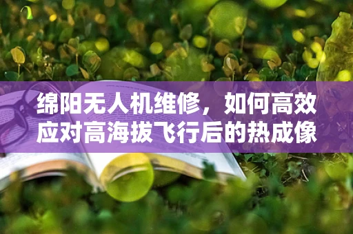 绵阳无人机维修，如何高效应对高海拔飞行后的热成像故障？