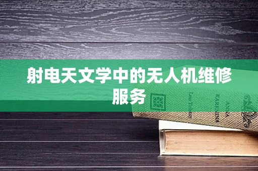 射电天文学中的无人机维修服务