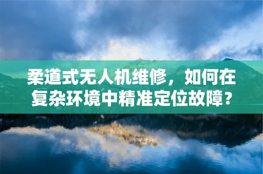 柔道式无人机维修，如何在复杂环境中精准定位故障？