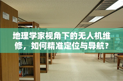 地理学家视角下的无人机维修，如何精准定位与导航？
