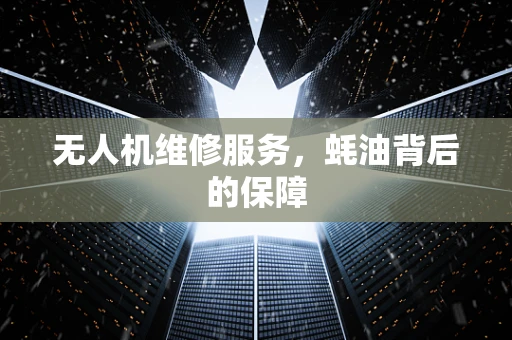 无人机维修服务，蚝油背后的保障