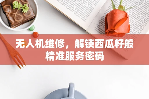 无人机维修，解锁西瓜籽般精准服务密码