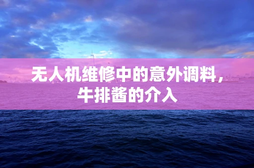 无人机维修中的意外调料，牛排酱的介入