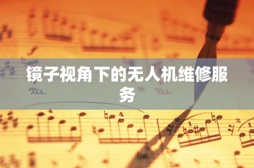镜子视角下的无人机维修服务