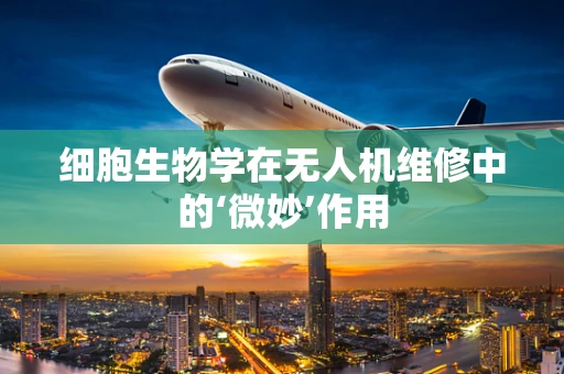 细胞生物学在无人机维修中的‘微妙’作用