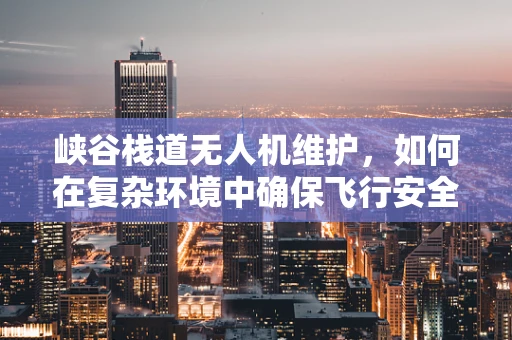 峡谷栈道无人机维护，如何在复杂环境中确保飞行安全？