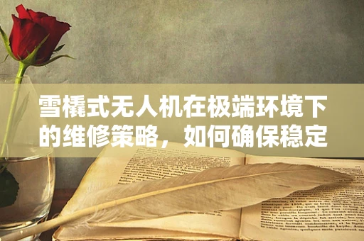雪橇式无人机在极端环境下的维修策略，如何确保稳定飞行？