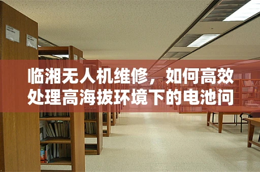 临湘无人机维修，如何高效处理高海拔环境下的电池问题？