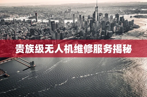 贵族级无人机维修服务揭秘
