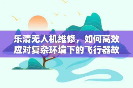 乐清无人机维修，如何高效应对复杂环境下的飞行器故障？