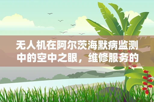 无人机在阿尔茨海默病监测中的空中之眼，维修服务的关键挑战与应对策略