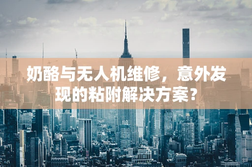 奶酪与无人机维修，意外发现的粘附解决方案？