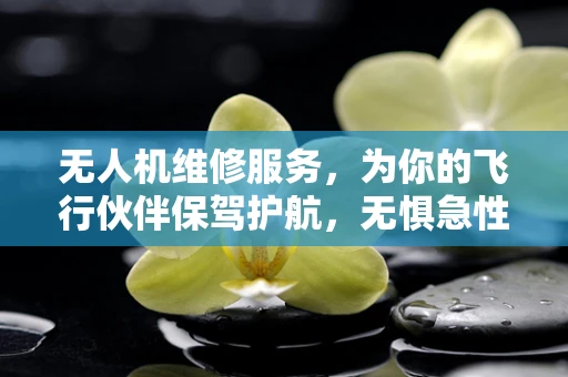 无人机维修服务，为你的飞行伙伴保驾护航，无惧急性扁桃体炎困扰