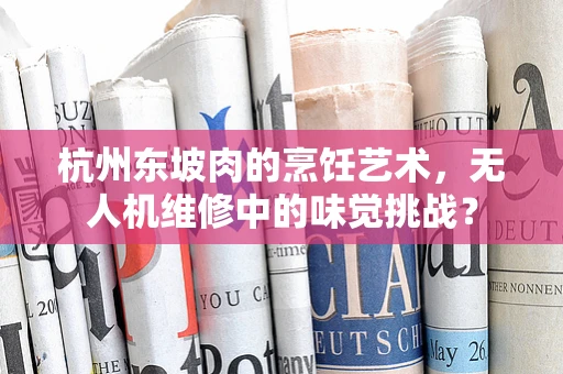 杭州东坡肉的烹饪艺术，无人机维修中的味觉挑战？