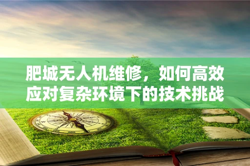 肥城无人机维修，如何高效应对复杂环境下的技术挑战？