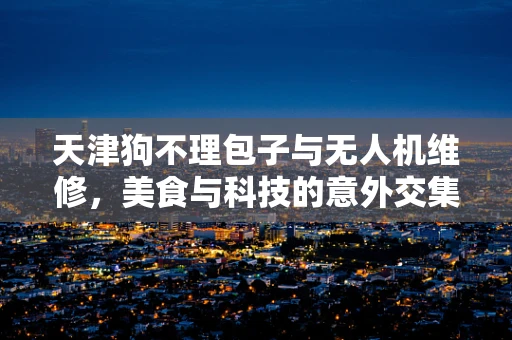 天津狗不理包子与无人机维修，美食与科技的意外交集