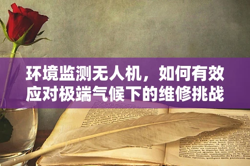 环境监测无人机，如何有效应对极端气候下的维修挑战？