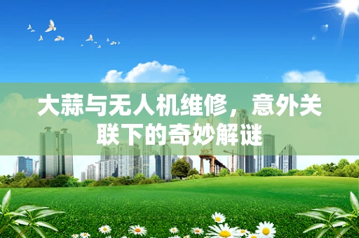 大蒜与无人机维修，意外关联下的奇妙解谜
