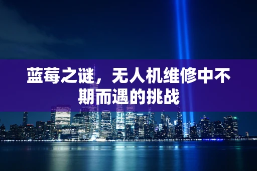 蓝莓之谜，无人机维修中不期而遇的挑战