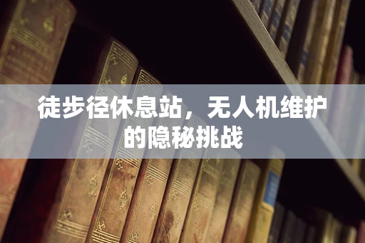 徒步径休息站，无人机维护的隐秘挑战