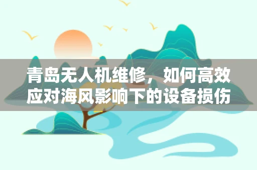 青岛无人机维修，如何高效应对海风影响下的设备损伤？