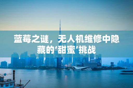 蓝莓之谜，无人机维修中隐藏的‘甜蜜’挑战