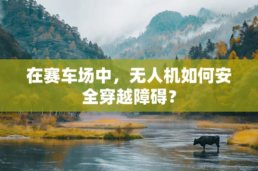 在赛车场中，无人机如何安全穿越障碍？