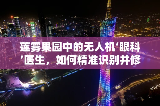 莲雾果园中的无人机‘眼科’医生，如何精准识别并修复莲雾种植中的无人机相机故障？