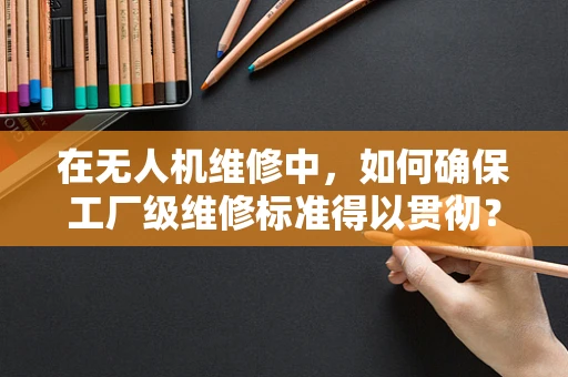 在无人机维修中，如何确保工厂级维修标准得以贯彻？