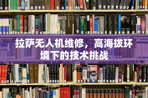 拉萨无人机维修，高海拔环境下的技术挑战