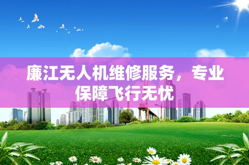 廉江无人机维修服务，专业保障飞行无忧