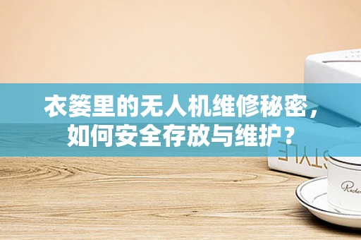 衣篓里的无人机维修秘密，如何安全存放与维护？