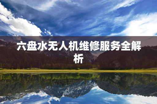 六盘水无人机维修服务全解析