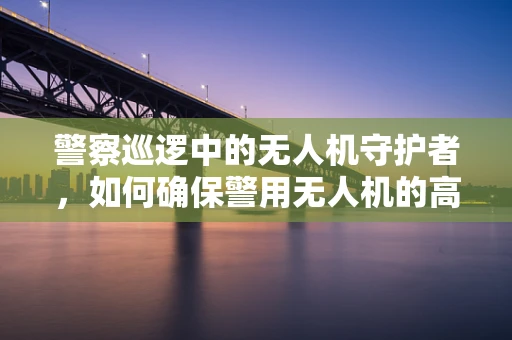 警察巡逻中的无人机守护者，如何确保警用无人机的高效维修？