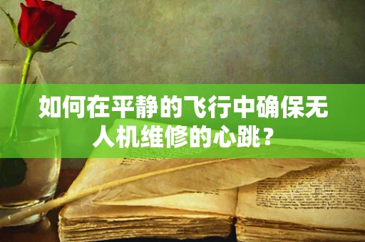 如何在平静的飞行中确保无人机维修的心跳？