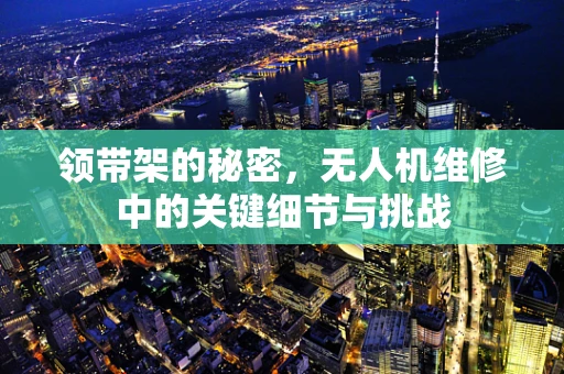 领带架的秘密，无人机维修中的关键细节与挑战