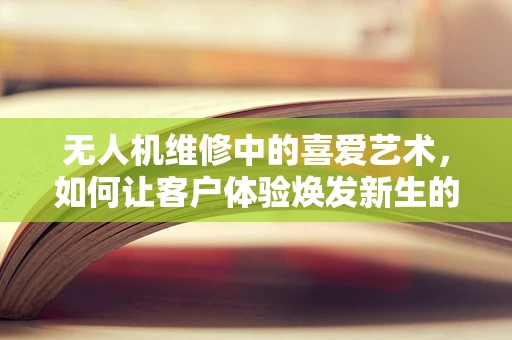 无人机维修中的喜爱艺术，如何让客户体验焕发新生的喜悦？