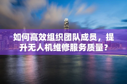 如何高效组织团队成员，提升无人机维修服务质量？