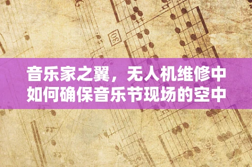 音乐家之翼，无人机维修中如何确保音乐节现场的空中安全？