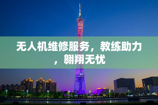 无人机维修服务，教练助力，翱翔无忧