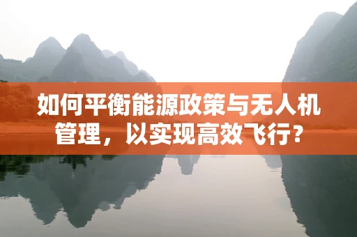 如何平衡能源政策与无人机管理，以实现高效飞行？