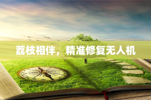 荔枝相伴，精准修复无人机