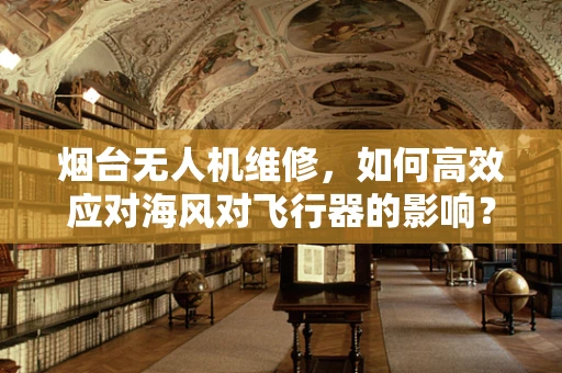 烟台无人机维修，如何高效应对海风对飞行器的影响？
